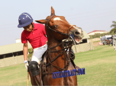 EQUESTRIAN SERVICES AND HORSEBACK RIDING SCHOOLS IN GHANA