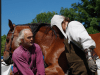 DUTIES OF GROOMS,STABLE HAND AND WORK RIDERS